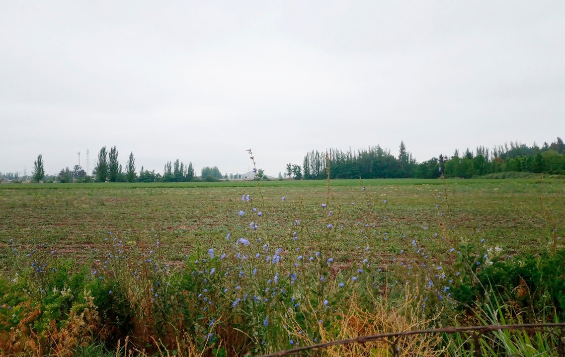 IMG_20241205_103410_924