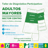 CAM_SECTOR CENTRO web