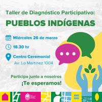 La Pintana_INDÍGENA_WEB